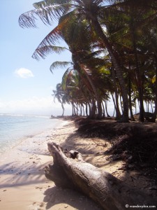 A beach on the San Blas Islands off the coast of Panama.