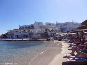 4248_pet_beachhotel