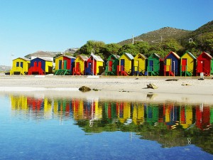 Photo by Damien du Toit.
