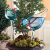 birdplantfeeder