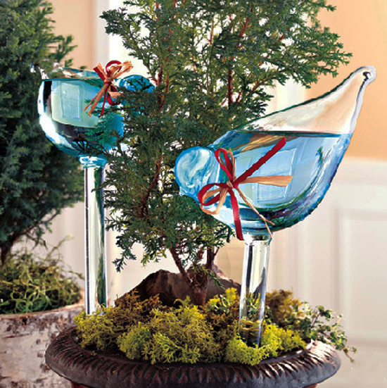 birdplantfeeder